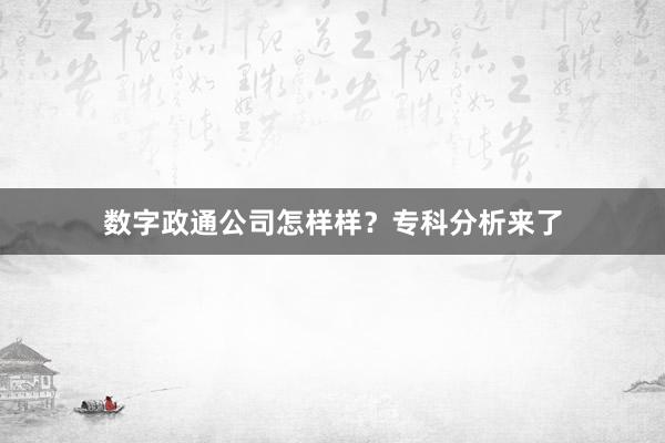数字政通公司怎样样？专科分析来了