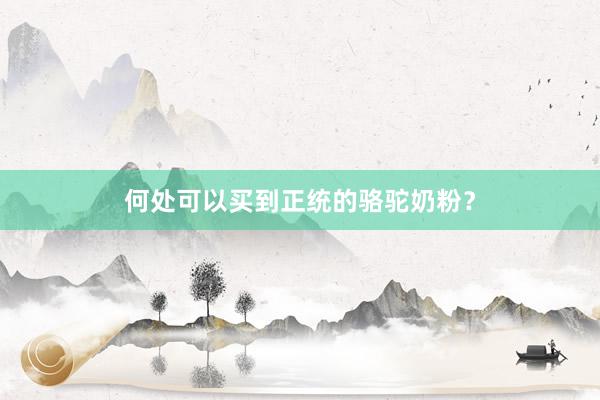 何处可以买到正统的骆驼奶粉？