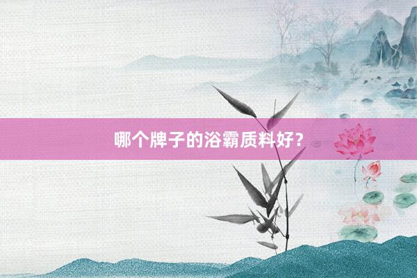 哪个牌子的浴霸质料好？